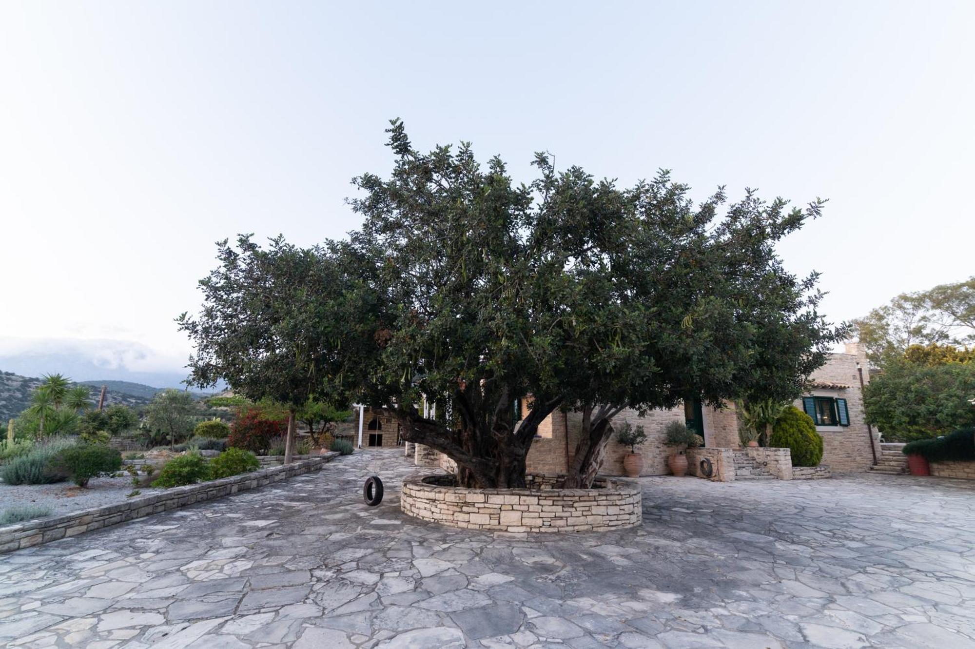 Carob Villa Moírai Eksteriør bilde